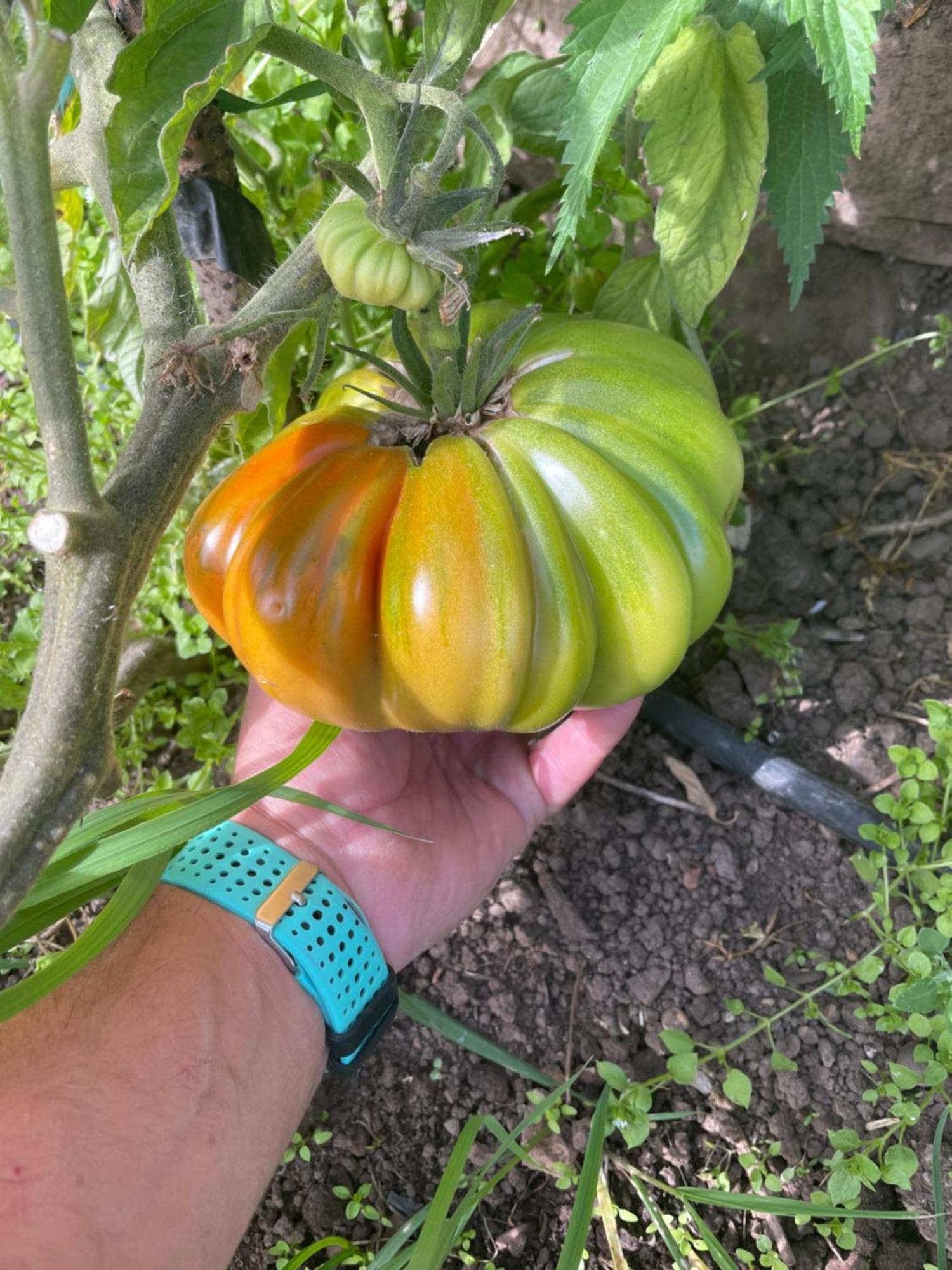 Los Chozos De La Brana Branosera Luaran gambar